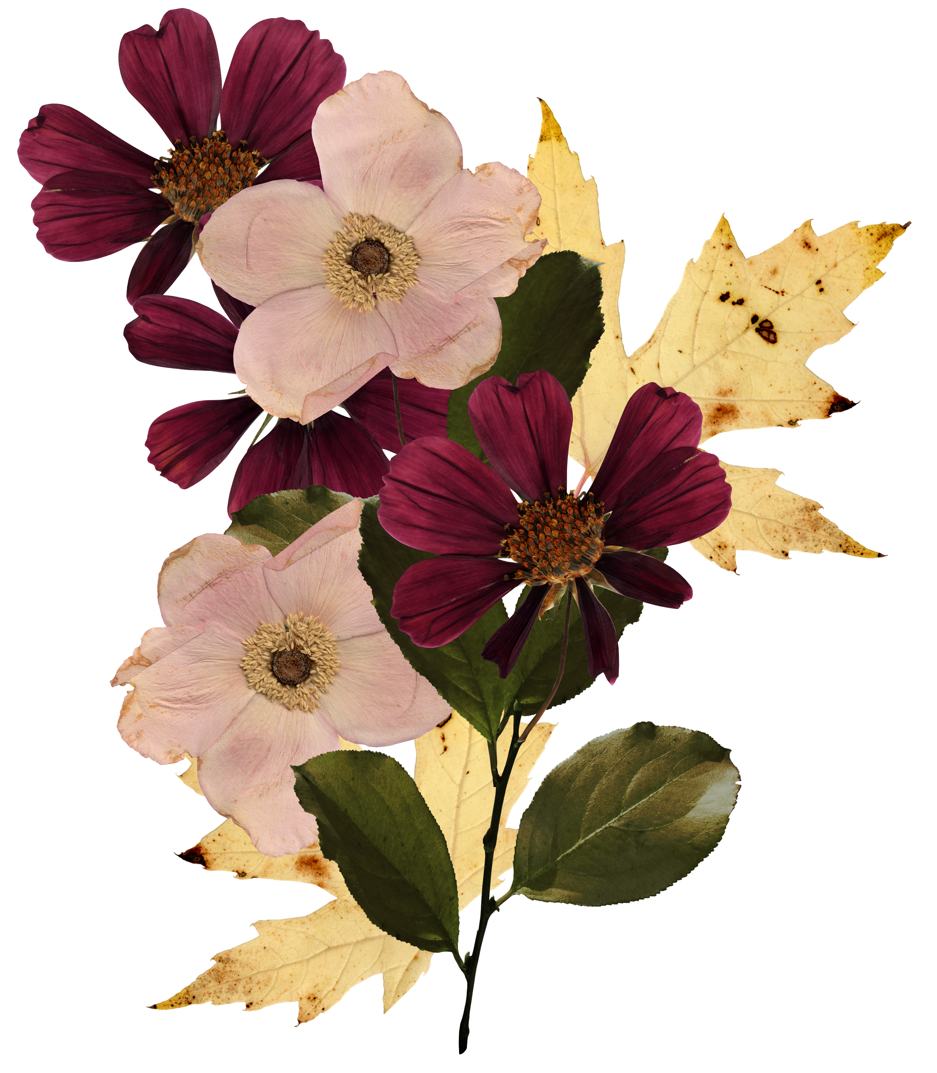 thanksgiving arrangement thanksgiving flowers