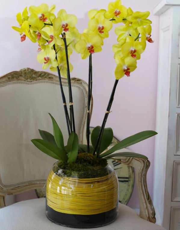 http://www.bloomfloralshop.com/cdn/shop/files/16.jpg?v=1687236757