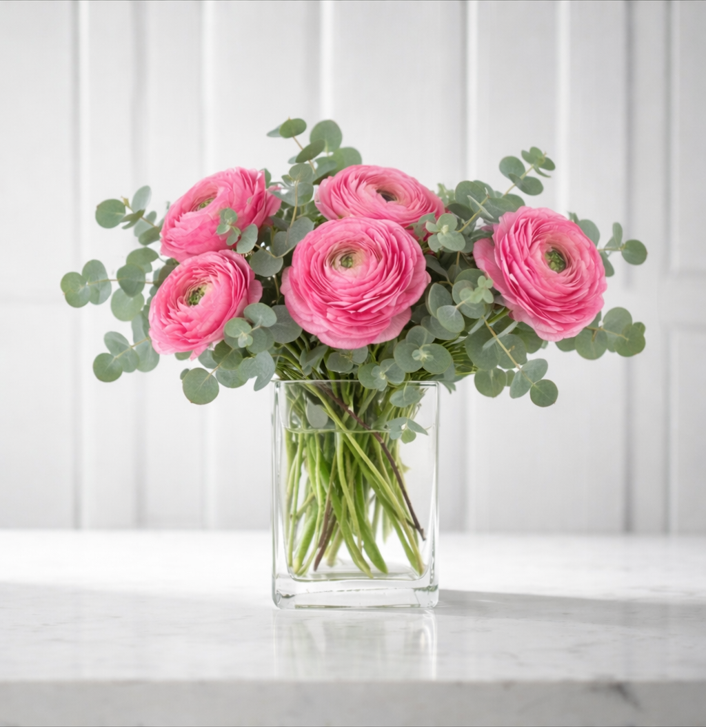 Bouquet of pink Ranunculus flowers in a clear vase on a white surface with a white paneled wall background for Chicago Delivery.