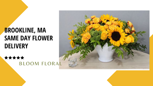 Brookline, MA Best same day flower delivery