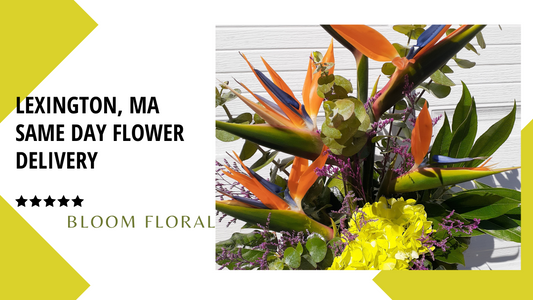 Best Same Day Flower Delivery to Lexington, MA