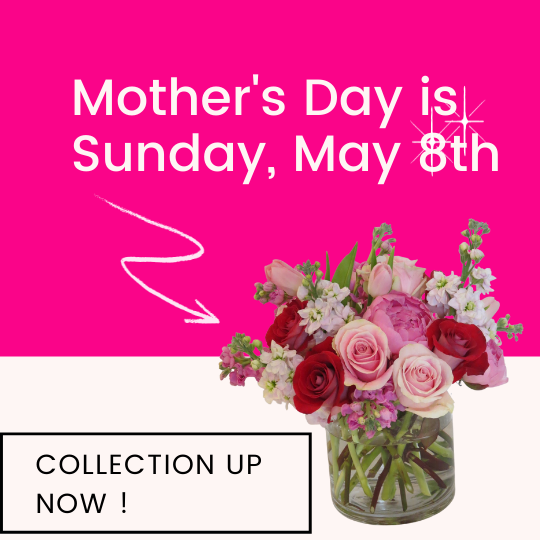 How to choose the best flowers for Mom - A Mother's Day Guide – Bloom ...