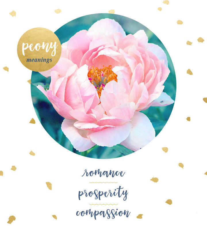 peonies delivery chicago Pink and white peony arrangement, Chicago florist