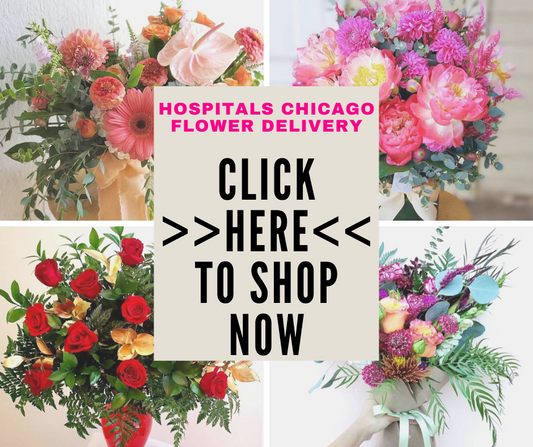 Chicago Hospital Flower Delivery | Same Day Flower Delivery