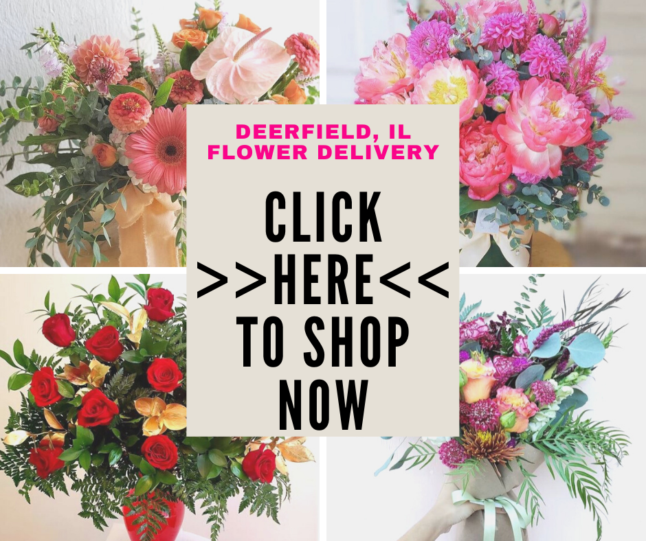 Deerfield, IL Florist | Same Day Flower Delivery IL 60015