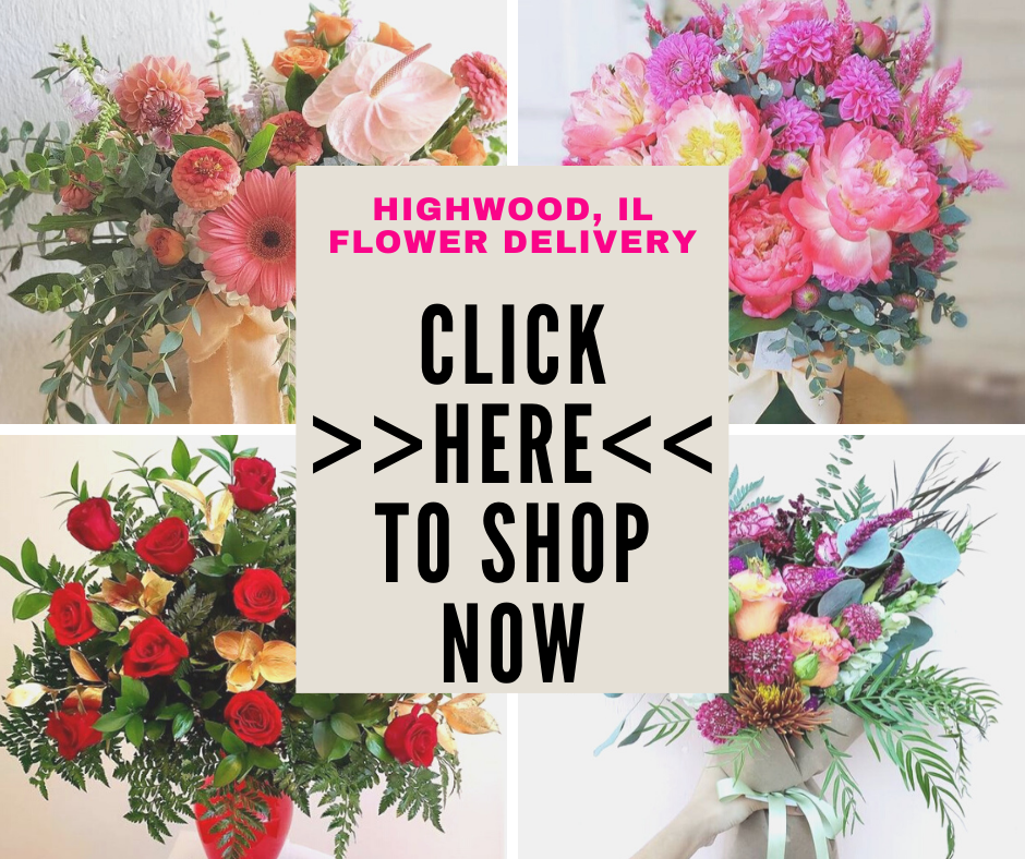 Highwood, IL Florist | Same Day Flower Delivery IL 60040