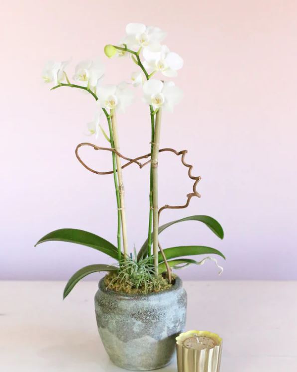 White Simplicity - www.bloomfloralshop.com