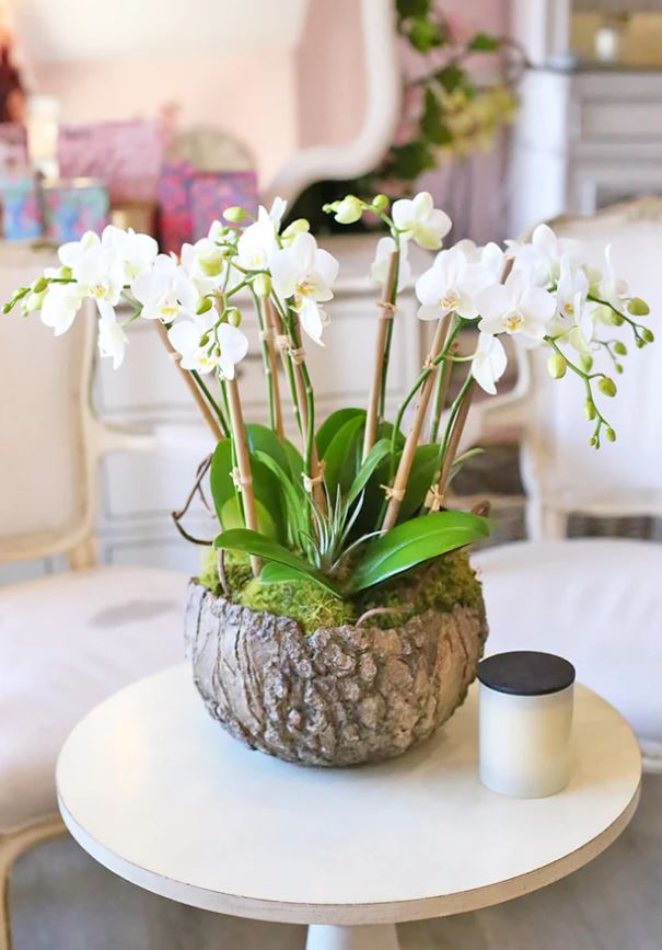 Petite Serenity - www.bloomfloralshop.com