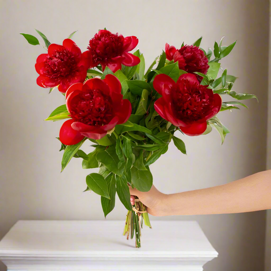 Peonies red bouquet