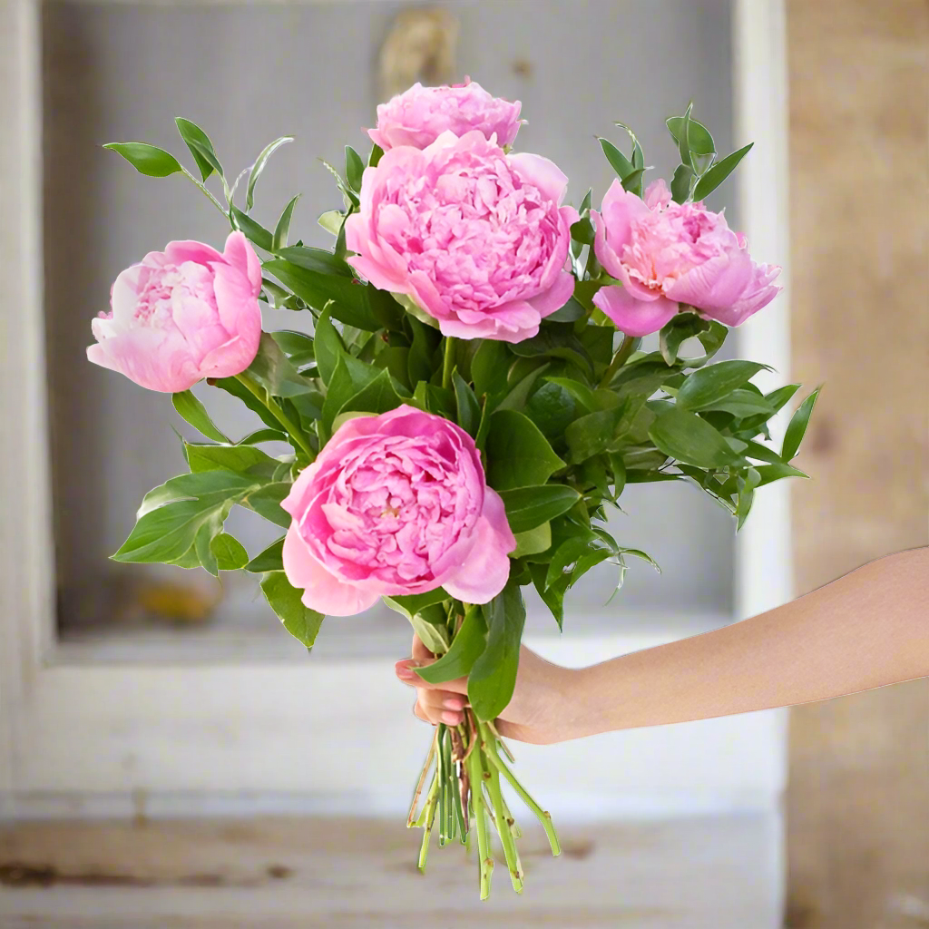 Pink peonies