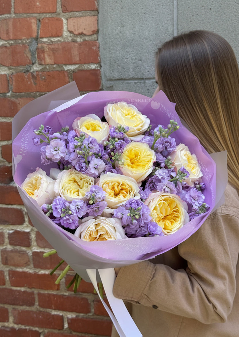 Yellow garden rose purple stock