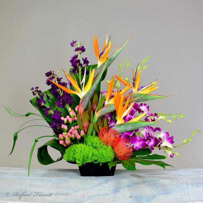 Starburst | Tropical Flower Delivery | Bloom Floral – Bloom Floral Shop ...