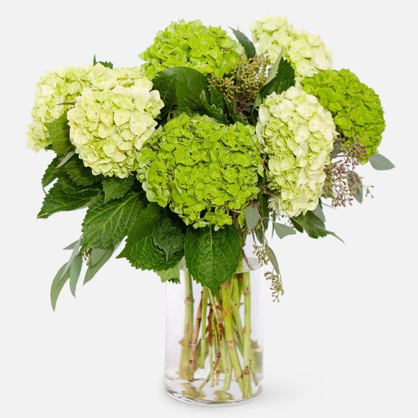 Mix Greens - www.bloomfloralshop.com