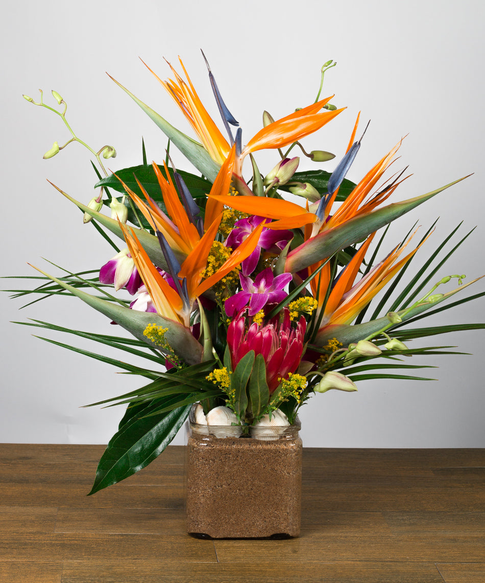 Orange Crush - www.bloomfloralshop.com